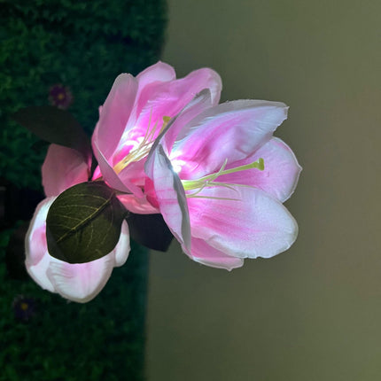 2 Pack Outdoor Waterproof Solar Flowers Garden Lights for Yard Patio Lawn Decor