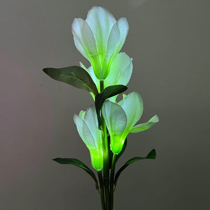 2 Pack Outdoor Waterproof Solar Flowers Garden Lights for Yard Patio Lawn Decor