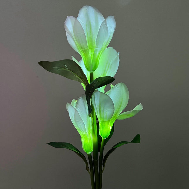 2 Pack Outdoor Waterproof Solar Flowers Garden Lights for Yard Patio Lawn Decor