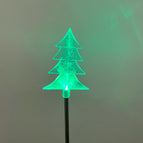 cedar