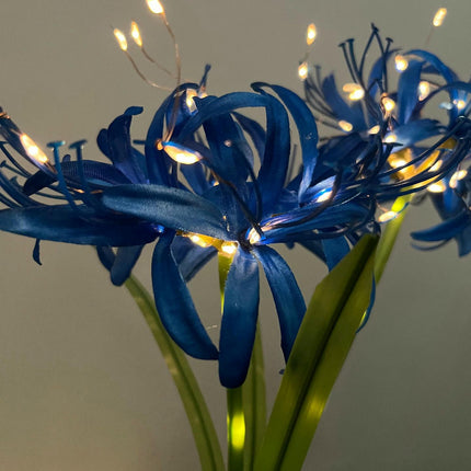 2 Pack Solar Garden Outdoor Flowers Lights Solar Landscape Lights for Yard Patio Decor