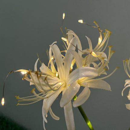 2 Pack Solar Garden Outdoor Flowers Lights Solar Landscape Lights for Yard Patio Decor
