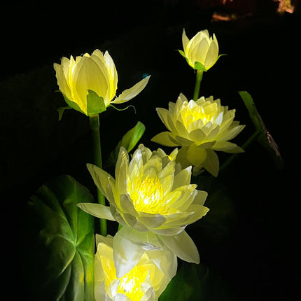 2 Pack Solar Outdoor Waterproof Garden Lights Solar Lotus Flowers Lights for Yard Garden Patio