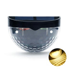 black shell warm light