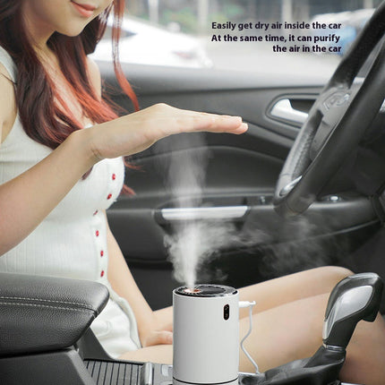Large Spray Negative Ion Air Purifier Two In One Car USB Silent Humidifier