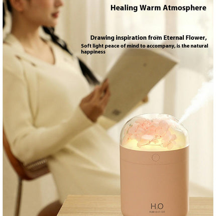 Preserved Flower Portable Humidifier, Waterless Auto Shut-Off,for Office Room Bedroom Livingroom