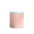 2L pink