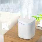 2.2L dual spray white