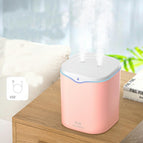 2.2L double spray Pink