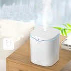 2.2L single spray white