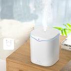 Single spray white