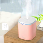 Single spray powder