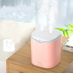 2.2L double spray Pink