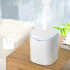 2.2L single spray white