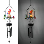 Parrot house red
