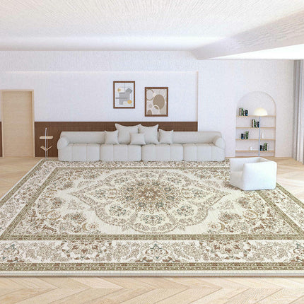 Area Rugs for Living Room Vintage Boho Washable Rug Distressed Carpet for Room Bedroom