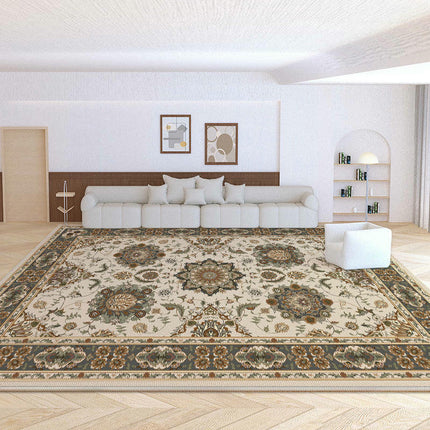 Area Rugs for Living Room Vintage Boho Washable Rug Distressed Carpet for Room Bedroom