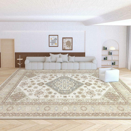 Area Rugs for Living Room Vintage Boho Washable Rug Distressed Carpet for Room Bedroom