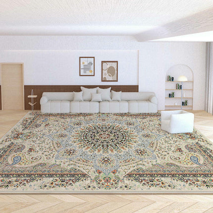 Area Rugs for Living Room Vintage Boho Washable Rug Distressed Carpet for Room Bedroom