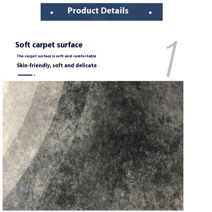 Home Decor Carpet Light Luxury Large Area Rugs for Living Room Modern Abstract Rugs 1