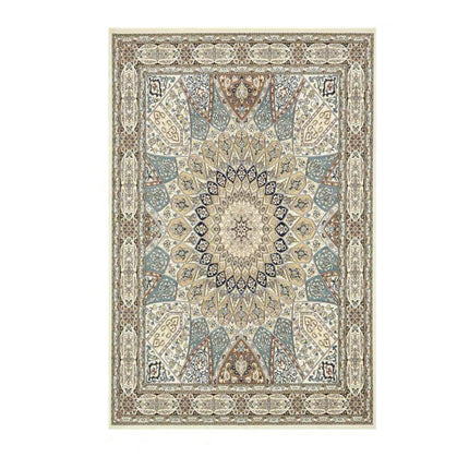 Ethnic Style Area Rug Vintage Rug Indoor Rug Washable Rug Carpets for Bedroom Living Room