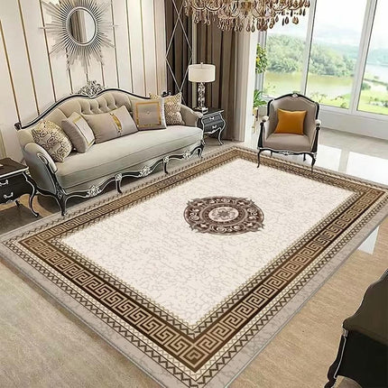 Soft Carpets for Bedroom Light Luxury Large Area Rugs for Living Room Indoor Area Rug Washable Rug