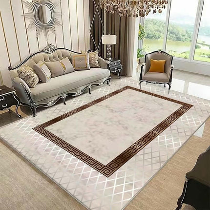 Soft Carpets for Bedroom Light Luxury Large Area Rugs for Living Room Indoor Area Rug Washable Rug