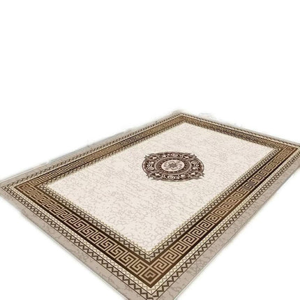 Soft Carpets for Bedroom Light Luxury Large Area Rugs for Living Room Indoor Area Rug Washable Rug