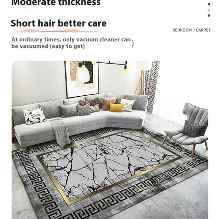 Light Luxury Area Rug Living Room Rugs Room Decor Carpet Modern Indoor Floor Mat
