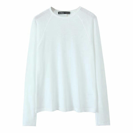 Women Crewneck Long Sleeve Tops Fall Basic Long Sleeve T Shirts Casual Loose Fit Tees