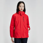 Classic style red