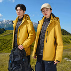 down liner-yellow