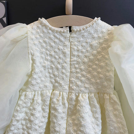 Girls Baby Dress-Spring and Autumn Korean Style Puff Sleeve Embroidered Flower Dress