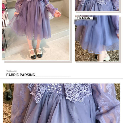 Girls Beaded V-neck Long Sleeve Dress Fashionable Lace Flowing Princess Dress
