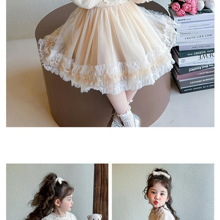 Girls Mesh Dress Ruffle Collar Long Sleeves Ruffle Lace Birthday Princess Dress