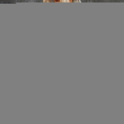 Womens Long Sleeve Open Front Buttons Cable Knit Pocket Sweater Cardigan