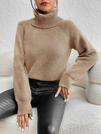 Womens Turtleneck Long Sleeve Pullover Sweater Casual Knit Jumper Top