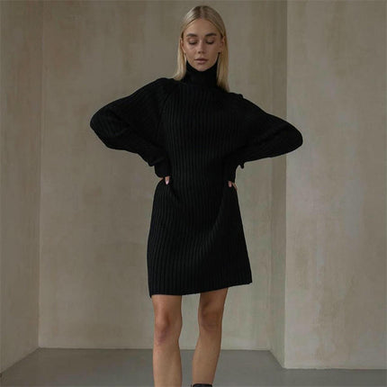 Women Turtleneck Long Sleeve Bodycon Fall Winter Mini Slim Knit Sweater Dress