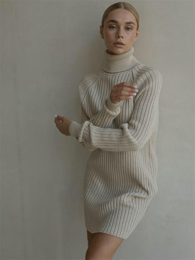Women Turtleneck Long Sleeve Bodycon Fall Winter Mini Slim Knit Sweater Dress