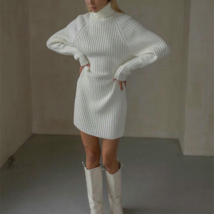 Women Turtleneck Long Sleeve Bodycon Fall Winter Mini Slim Knit Sweater Dress