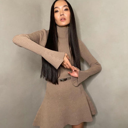 Women's Long Sleeve Dress - Turtleneck Bodycon A-Line Knit Sweater Dress