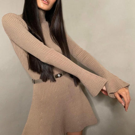 Women's Long Sleeve Dress - Turtleneck Bodycon A-Line Knit Sweater Dress