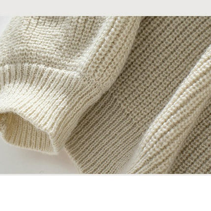 Women's Fashion Round Neck Sweater Casual Light Pet Long Sleeve Knit Top