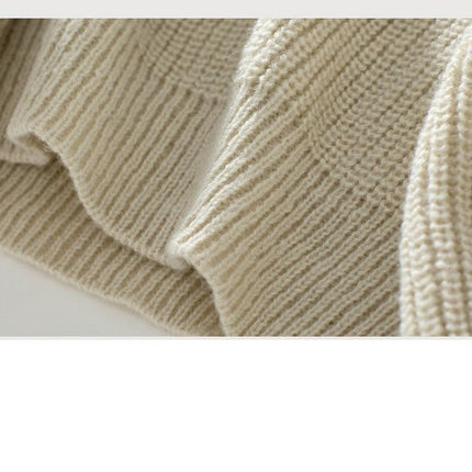 Women's Fashion Round Neck Sweater Casual Light Pet Long Sleeve Knit Top