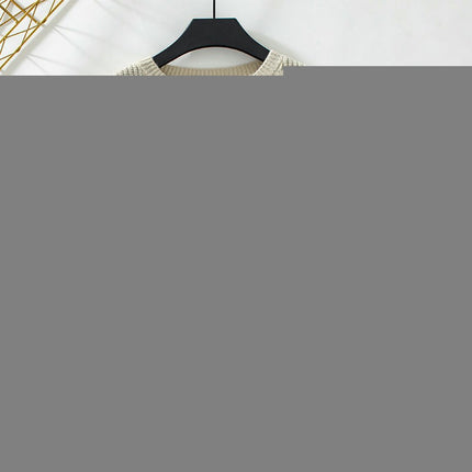 Women's Fashion Round Neck Sweater Casual Light Pet Long Sleeve Knit Top