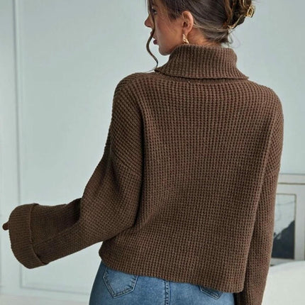 Women's Solid Color Turtleneck Pullover - Long Sleeve Casual Loose Knit Top