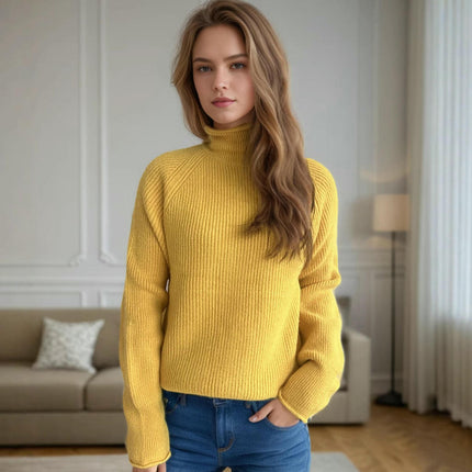 Slim Fit Pullover Sweater Long Sleeve Half Turtleneck Curled Ribbed Knit Sweater