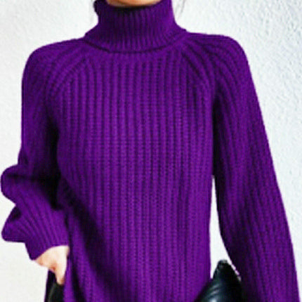 Women's Solid Color Warm Turtleneck Sweater Loose Long Sleeve Pullover Knit Top