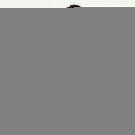 Women's Colorblock Leopard Sweater Loose Knit Sweater Pullover Striped Round Neck Sweater