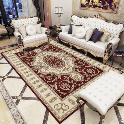 Home Area Rug Washable Bedroom Rug Non-Slip Colorful Accent Throw Rugs for Living Room Kitchen Floor Large Floor Rugs